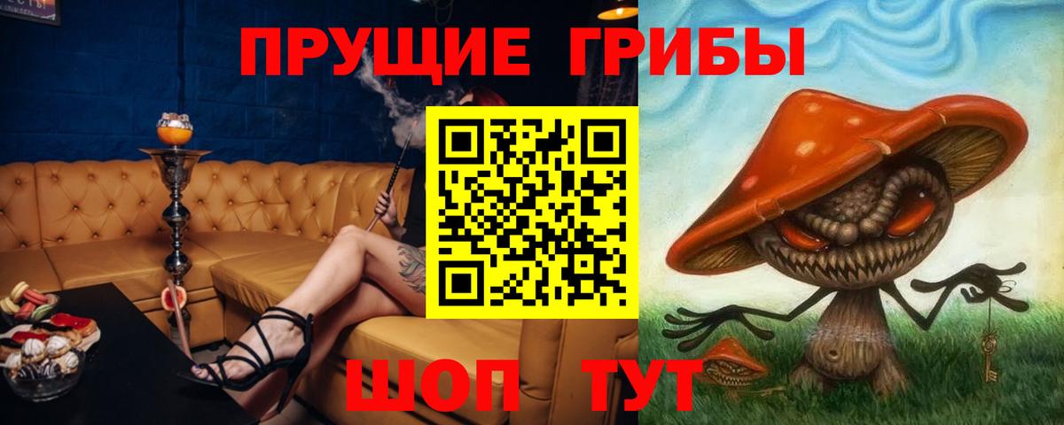 Галлюциногенные грибы мухоморы  Вход с VPN  Радужный  купить наркоту  Псилоцибиновые грибы MAGIC MUSHROOMS 